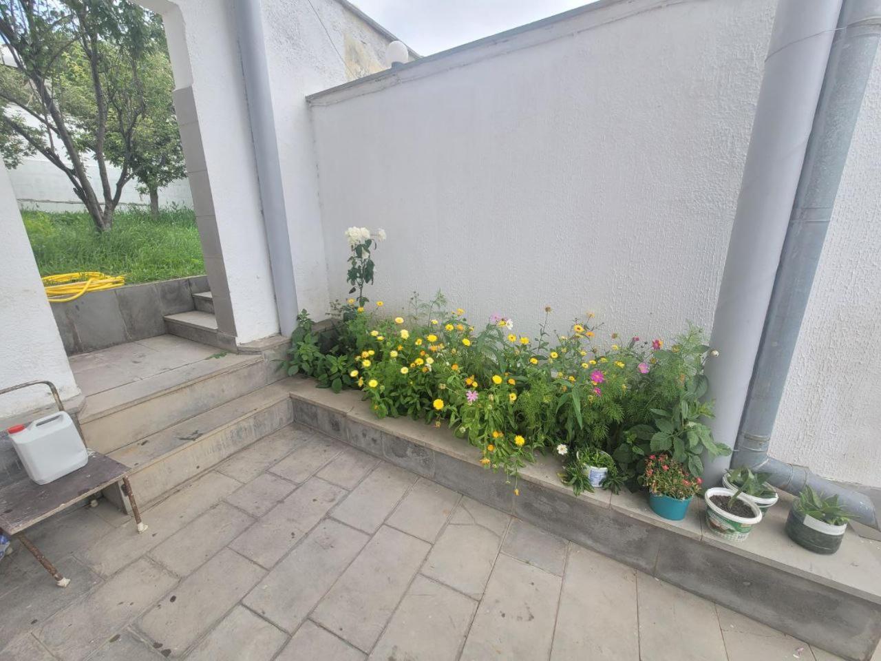 Tsaghkadzor Inn Guest House المظهر الخارجي الصورة